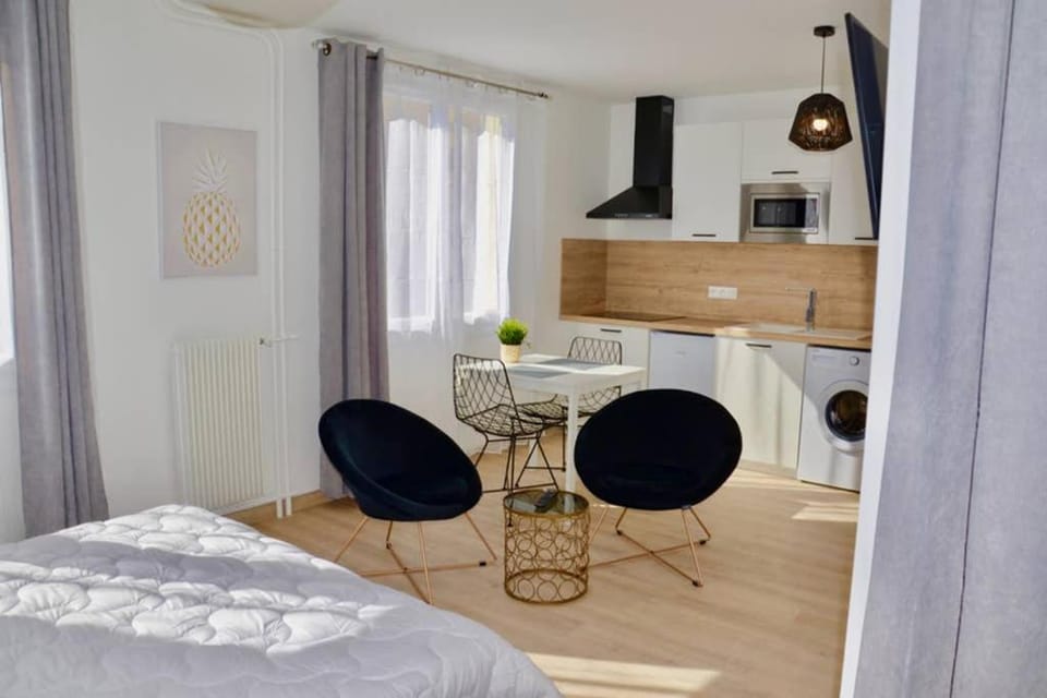 Dolmen Adrien 3 Apartment in Tours