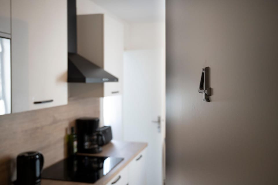 Dolmen Adrien 4 Apartment in Tours