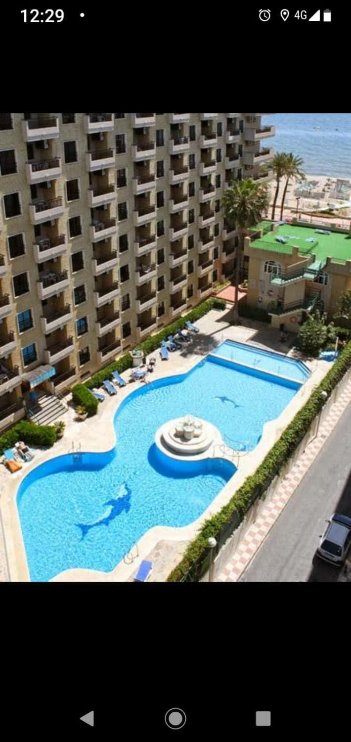 Pool view, sunbed