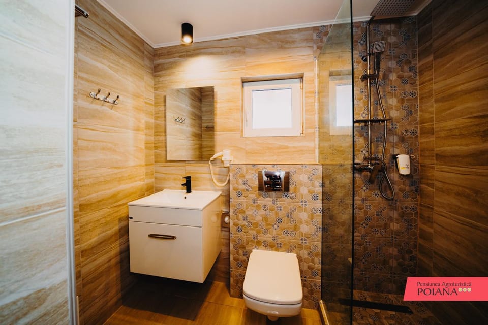 Pensiunea Agroturistica Poiana Bed and Breakfast in Romania