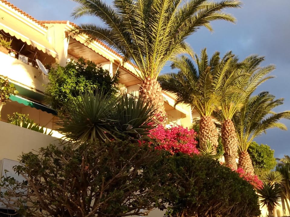 Paradis Apartment in Morro Jable