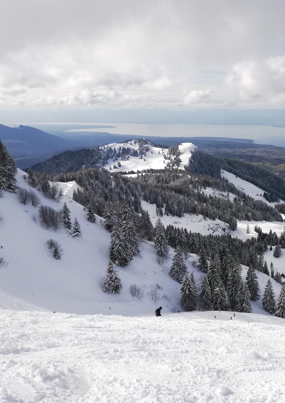 Skiing