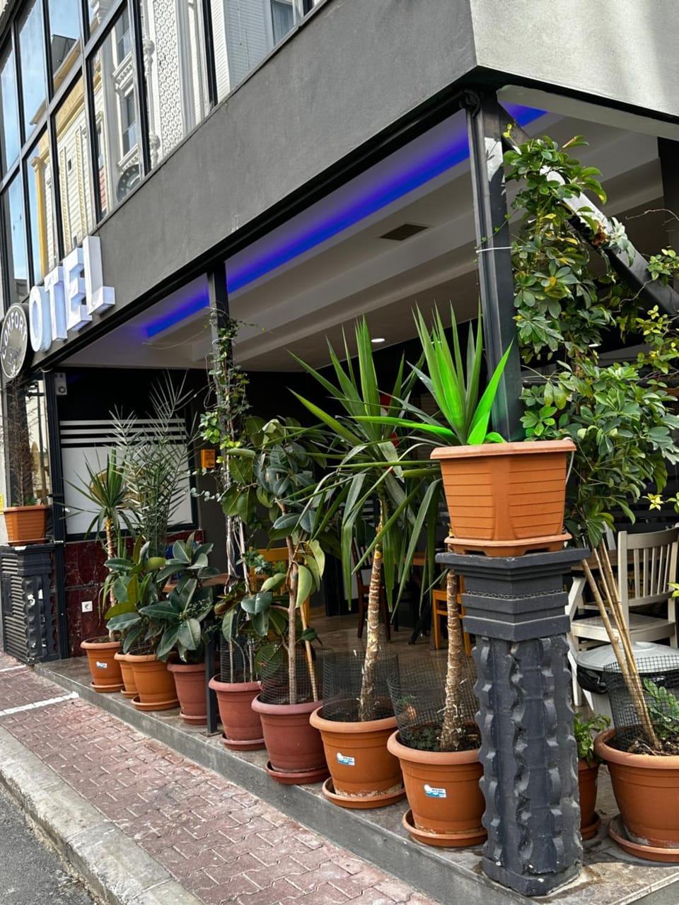 Natural landscape, Garden, On site