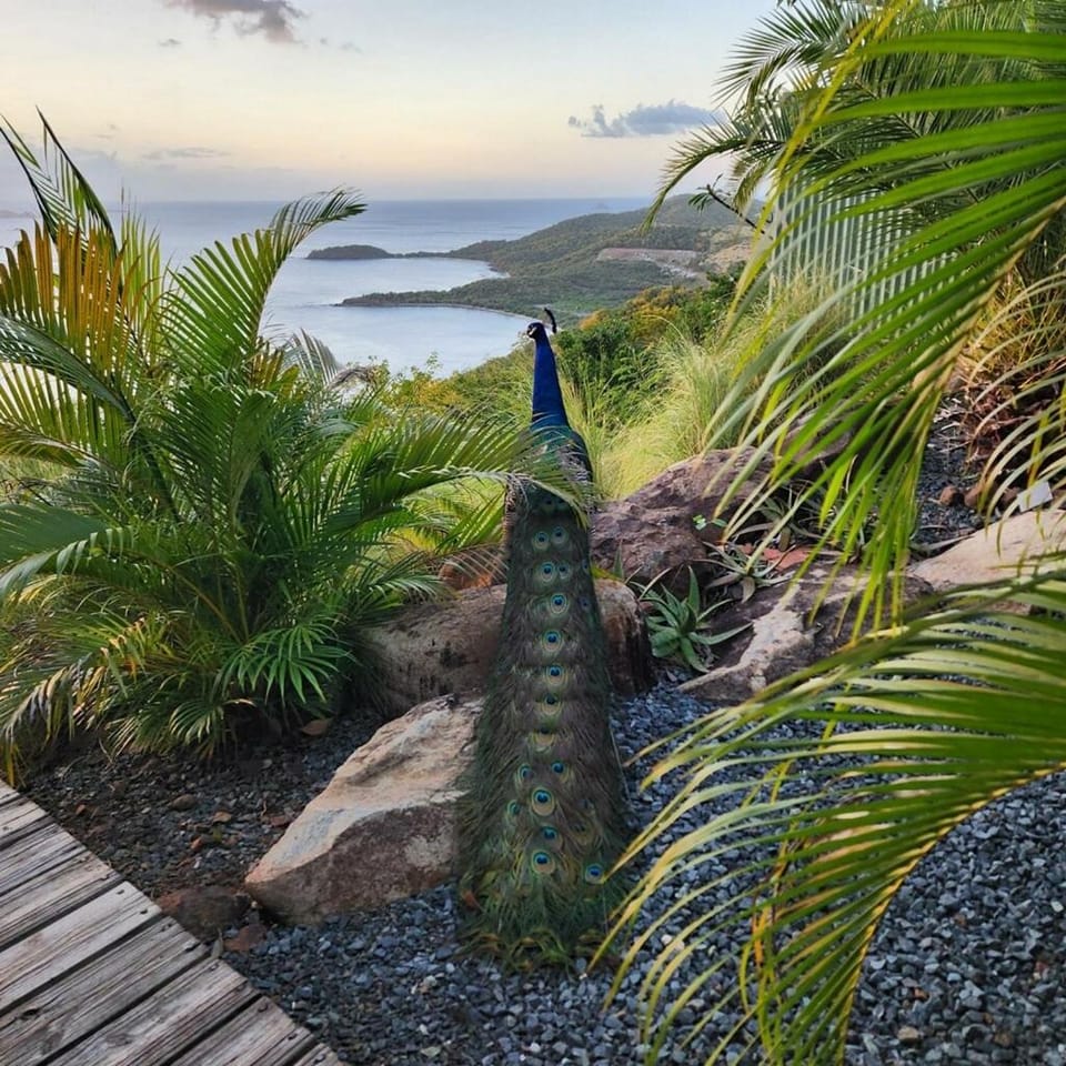Day, Sea view