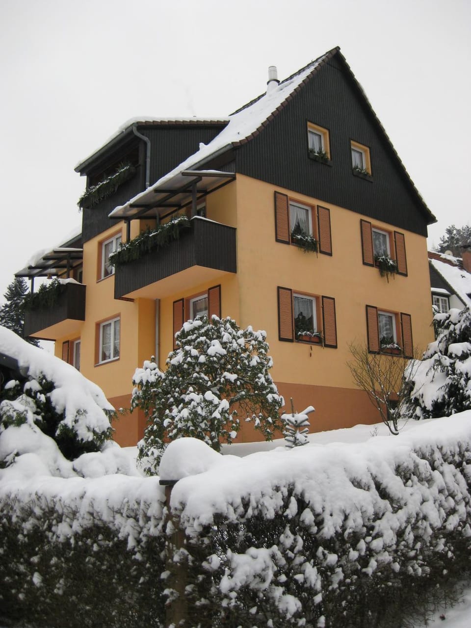 Property building, Winter