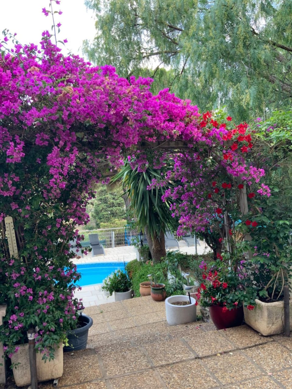 Garden, Pool view