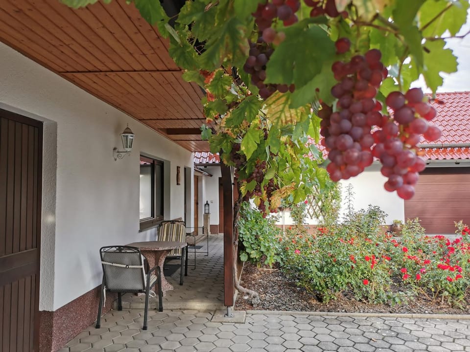 Facade/entrance, Guests