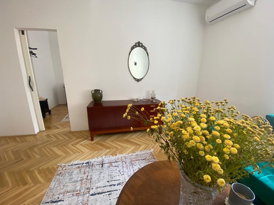Unfamiliar Mili, Center Apartment in Belgrade