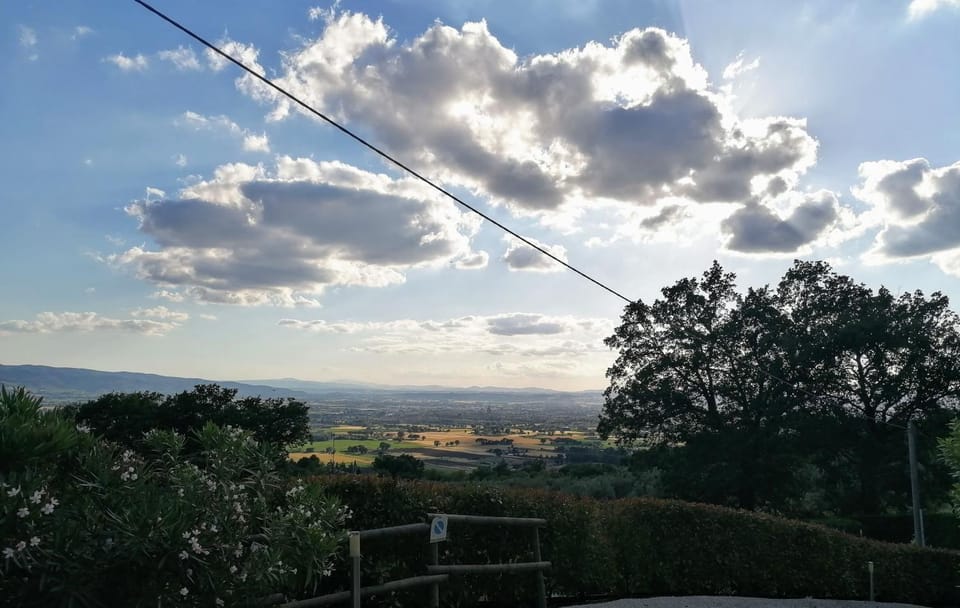 View (from property/room)