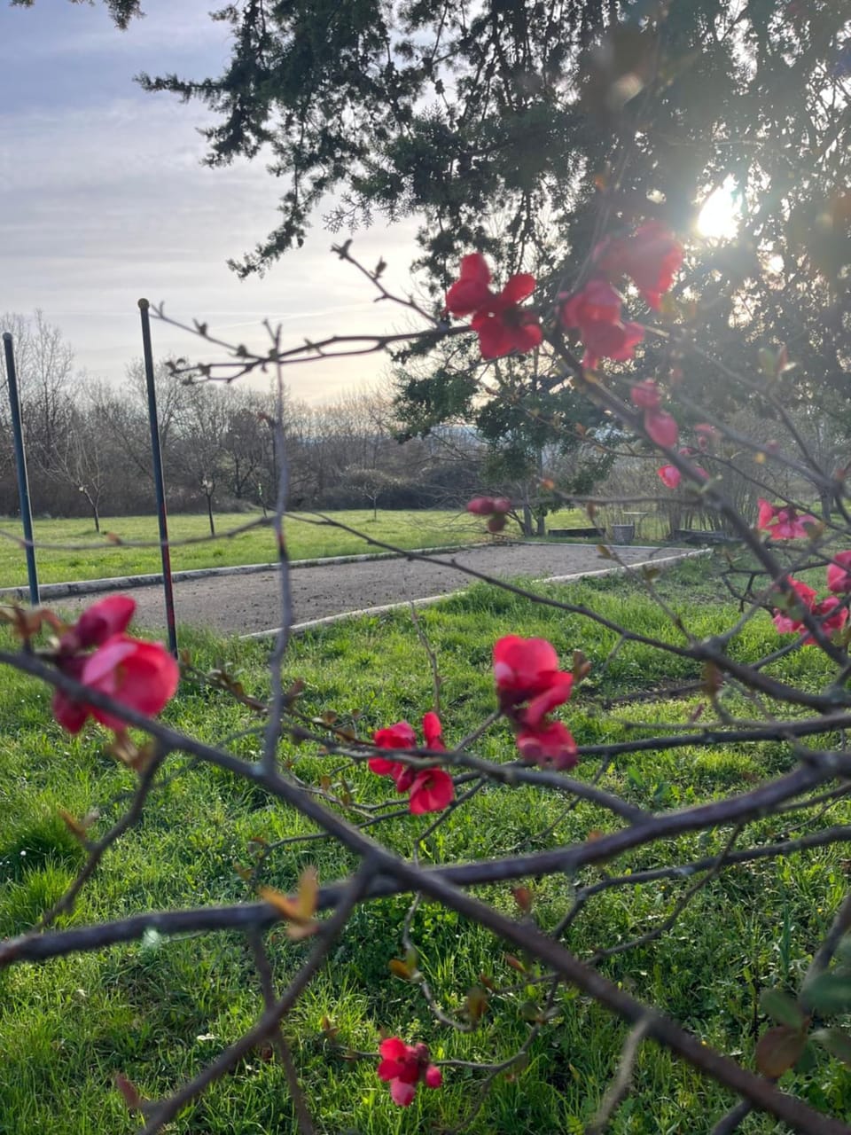 GITE COCOTTE LUBERON, FORCALQUIER House in Provence-Alpes-Côte d'Azur