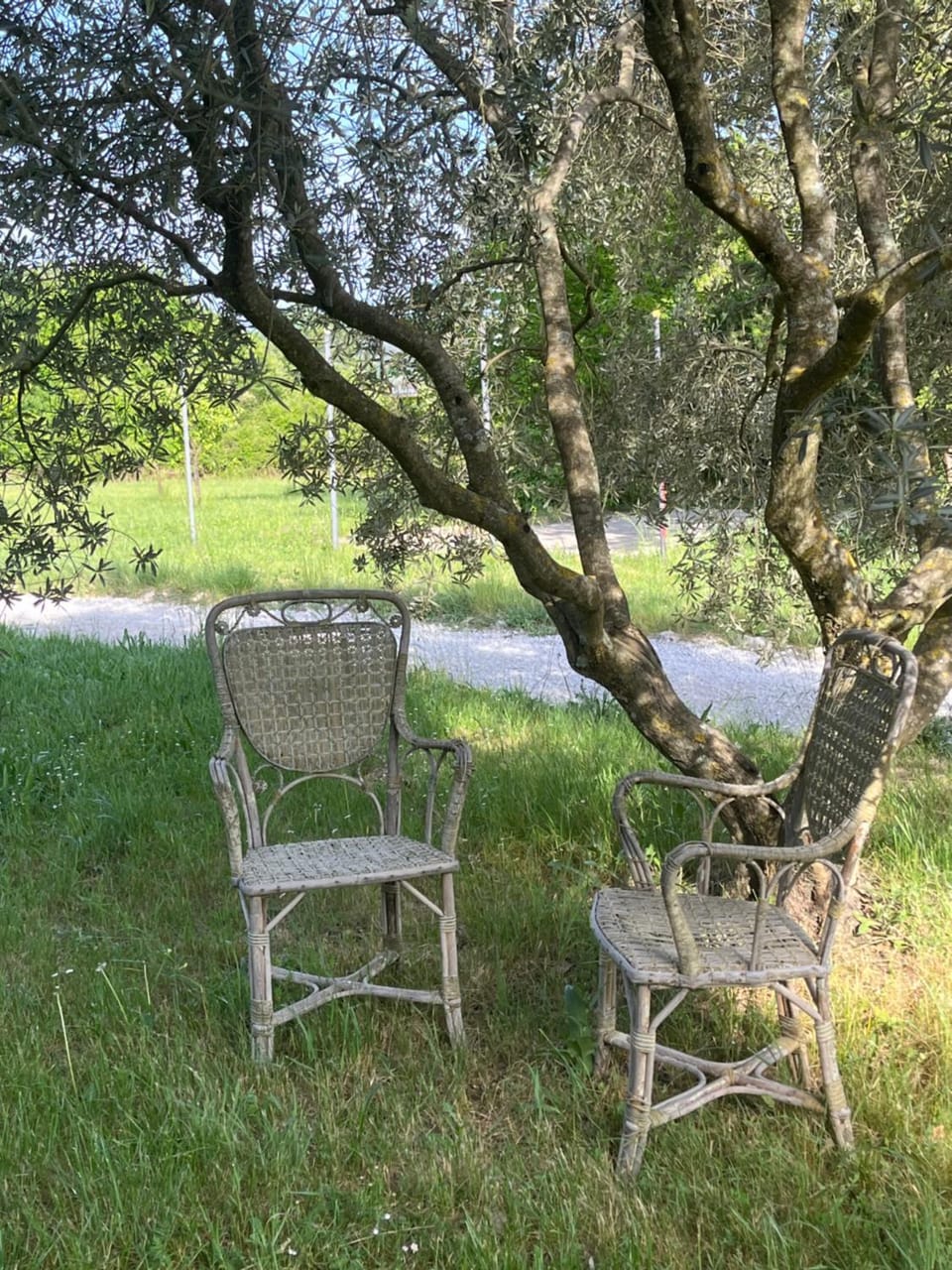 Gite Cosmos House in Provence-Alpes-Côte d'Azur