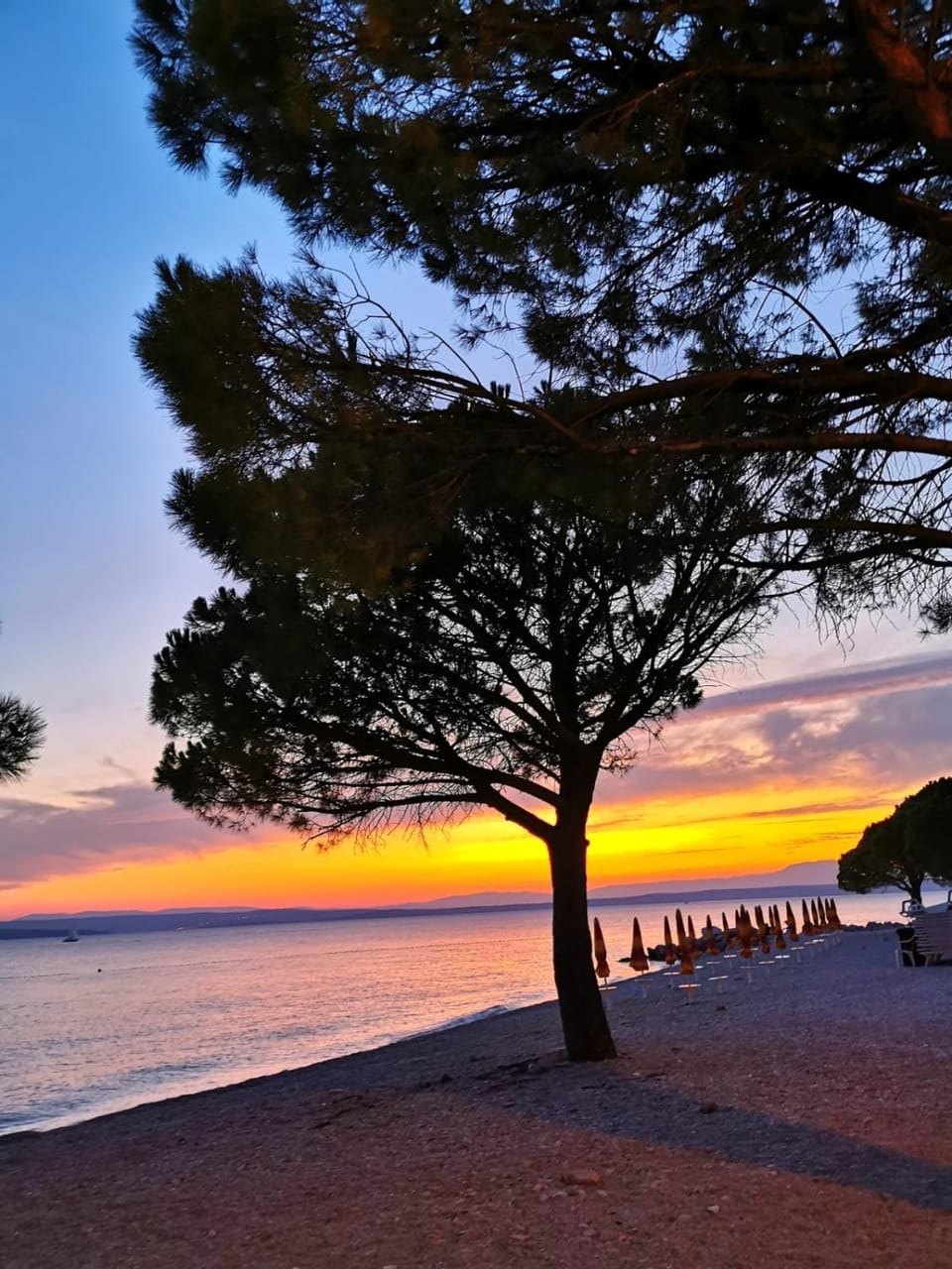 Natural landscape, Beach, Hiking, Sunset