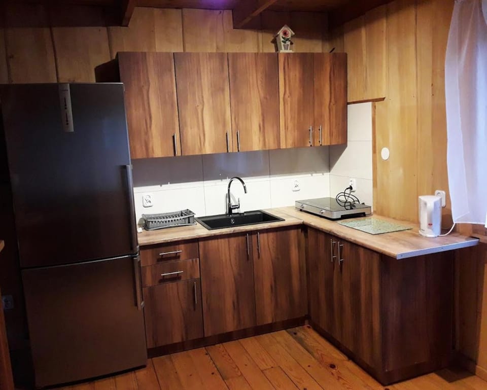 Kitchen or kitchenette, minibar, stove