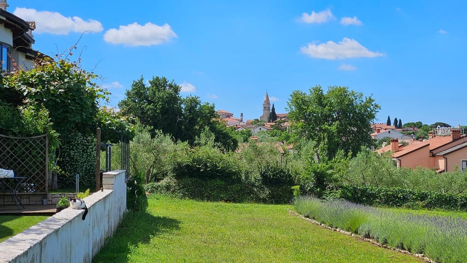 Garden, City view, Garden view