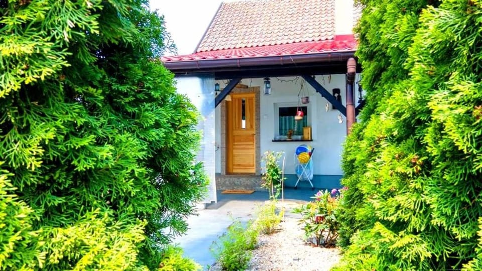 Property building, Spring, Day, Garden, Garden view