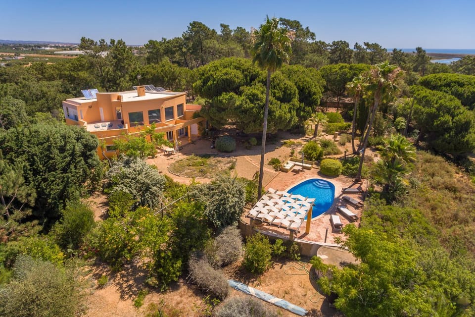 Property building, Natural landscape, Garden, Garden view, Swimming pool
