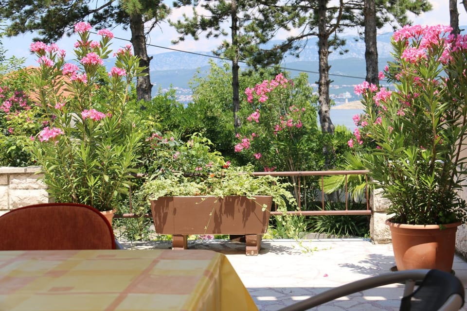 Garden, Balcony/Terrace
