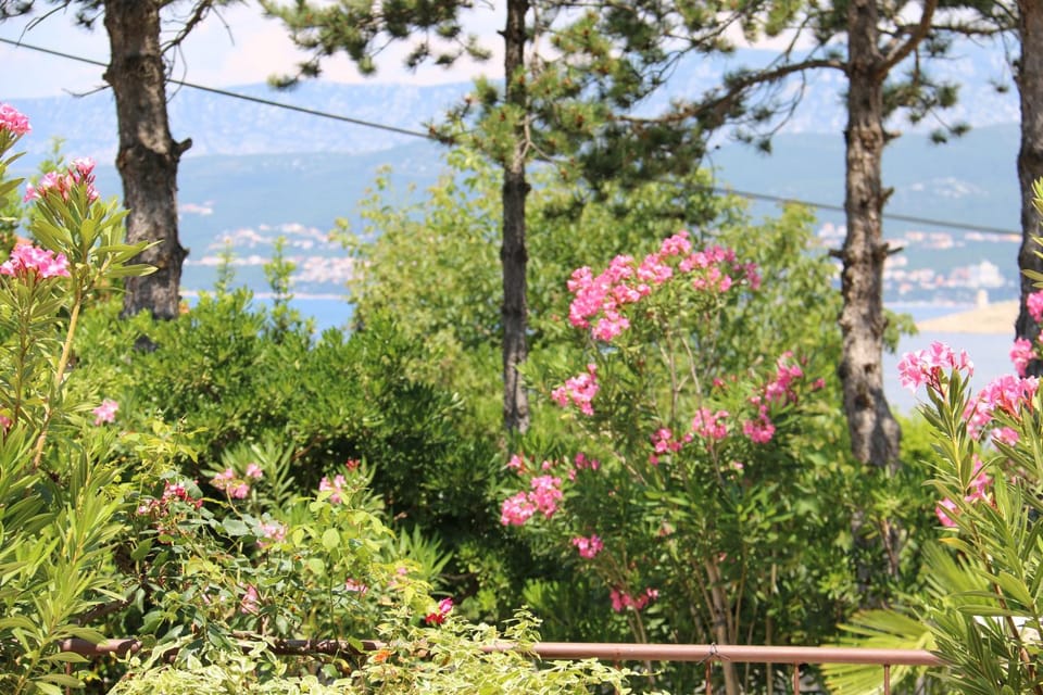 Garden, Balcony/Terrace