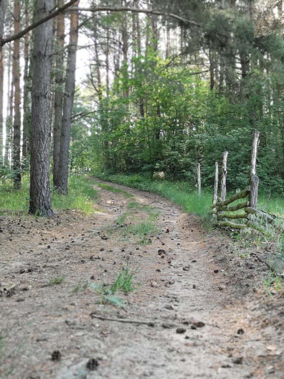 Natural landscape, Hiking