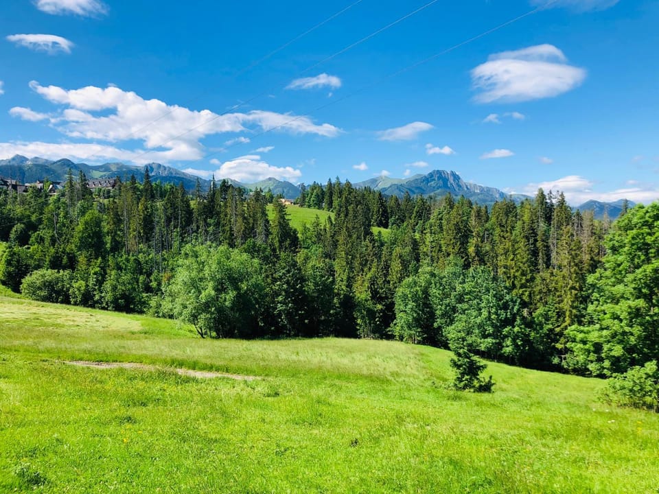 Spring, Day, Natural landscape, Mountain view