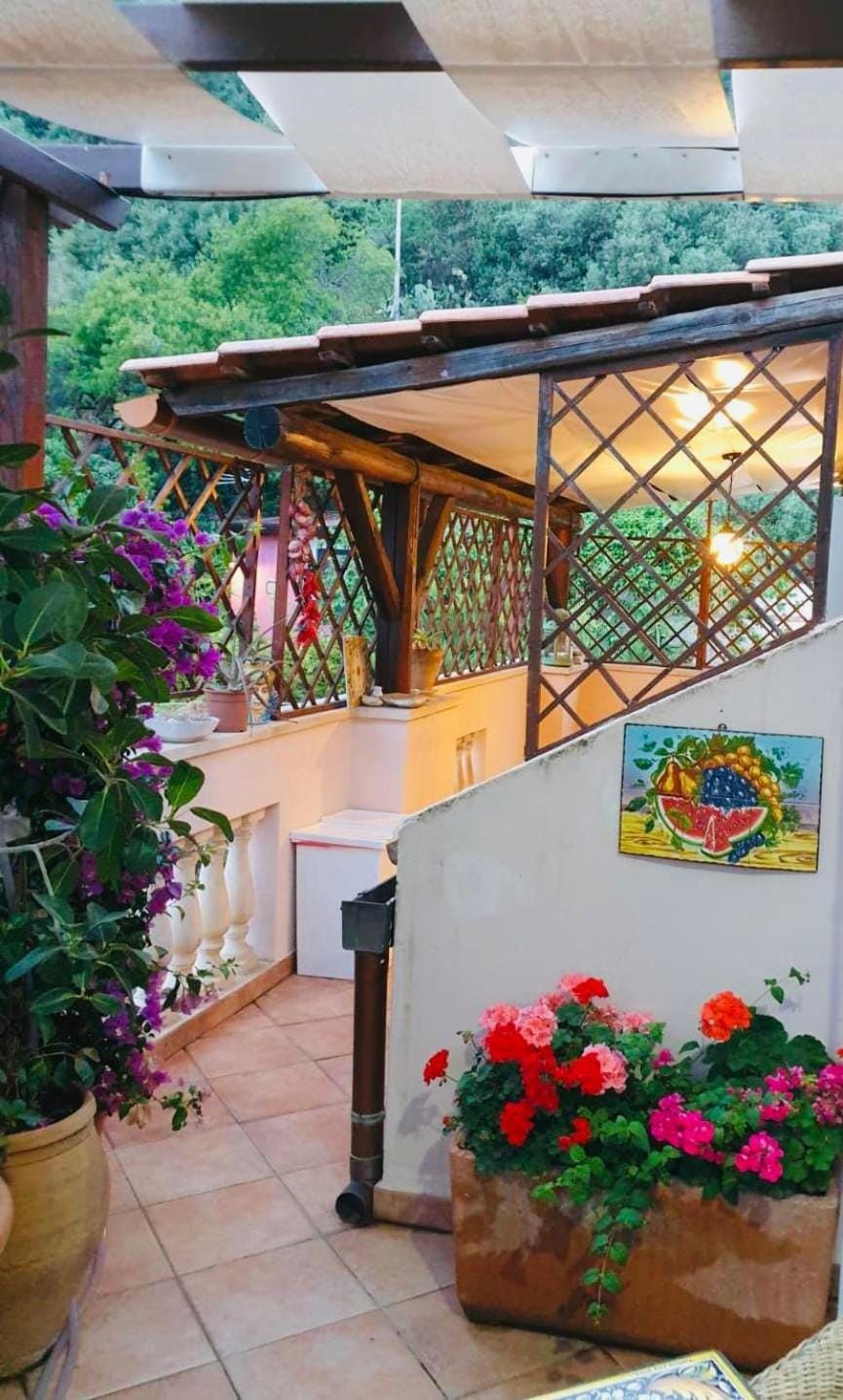 Garden, Balcony/Terrace