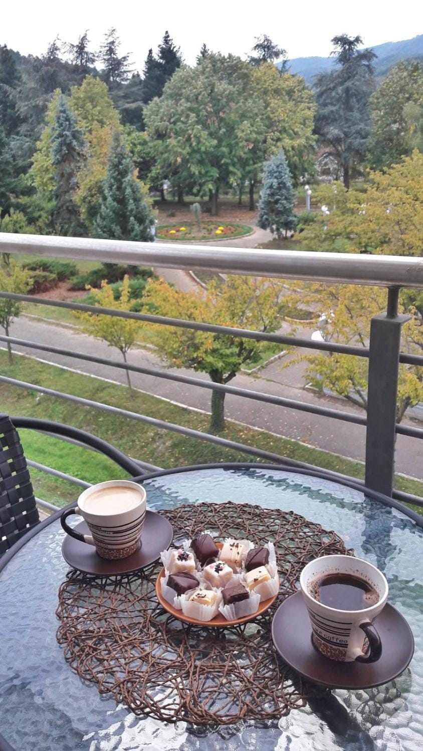 Happy Apartment in Serbia