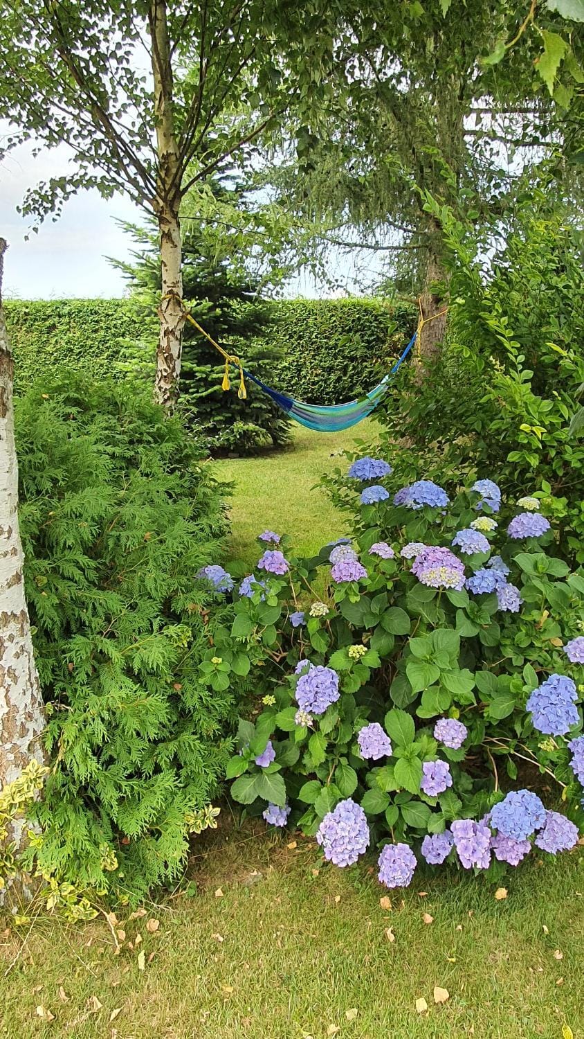 Spring, Natural landscape, Garden, Garden view