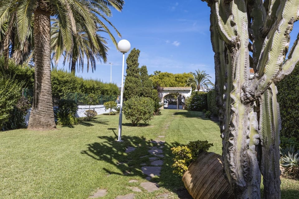 Patio, Garden, Garden view