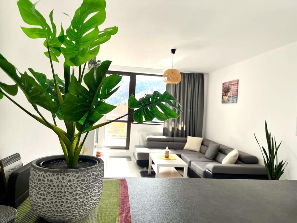 Library, Living room, Decorative detail, Dining area, heating
