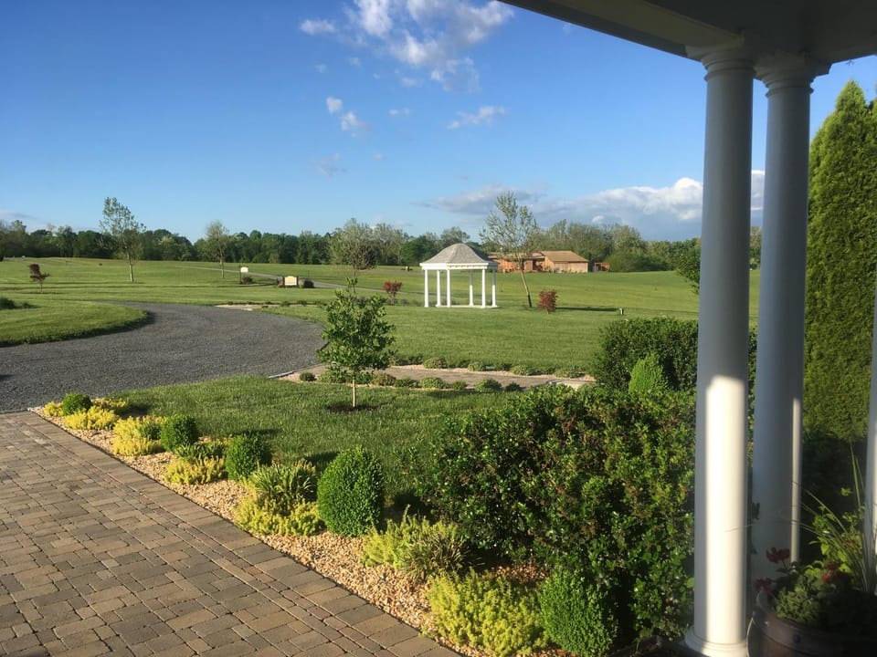 Garden view