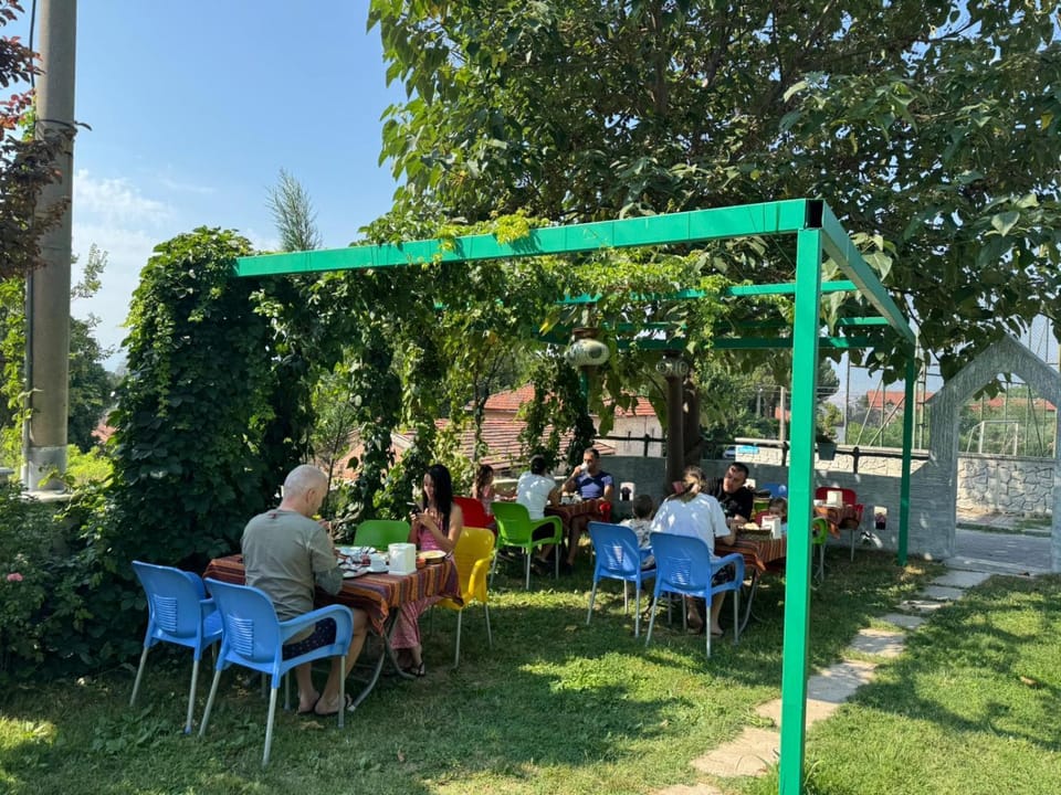 Day, People, Garden