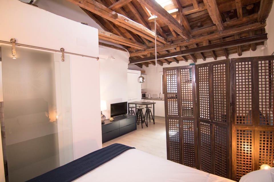 Gardina Toledo Apartment in Toledo
