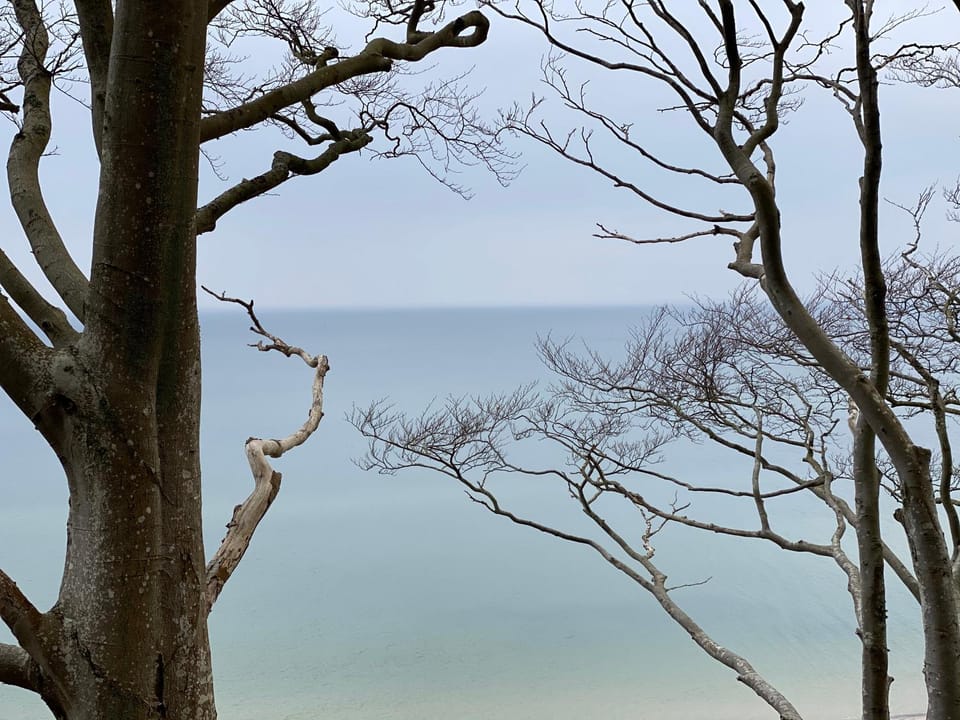 Przytulny Apartament Dębina Apartment in Pomeranian Voivodeship