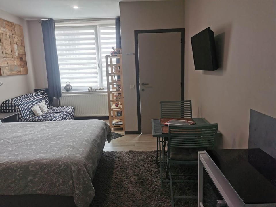 Bed, TV and multimedia, Living room, Photo of the whole room, Seating area, Bedroom