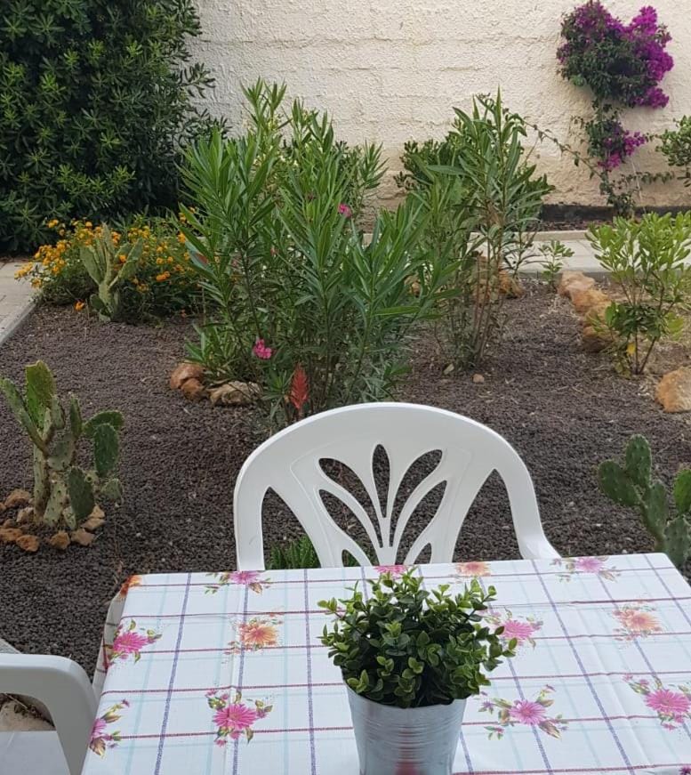 Garden, Garden view