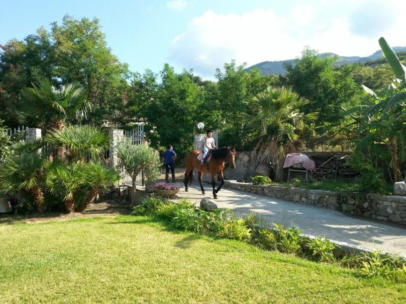 Garden, Horse-riding