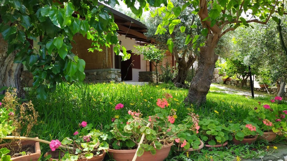 Property building, Garden view