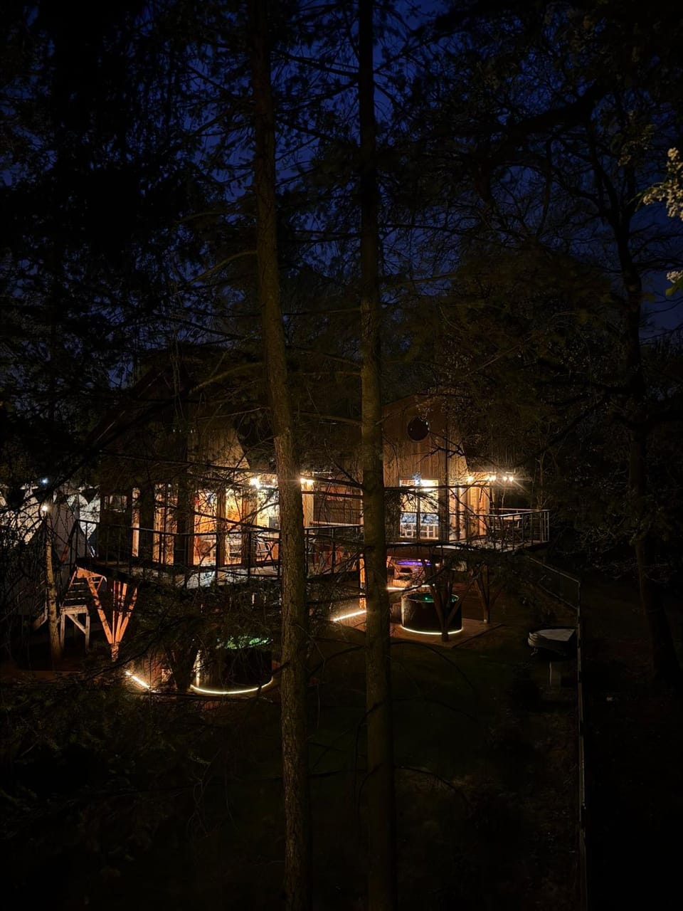 Property building, Night, Garden