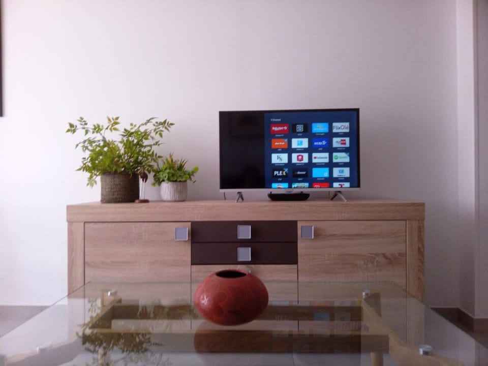 TV and multimedia