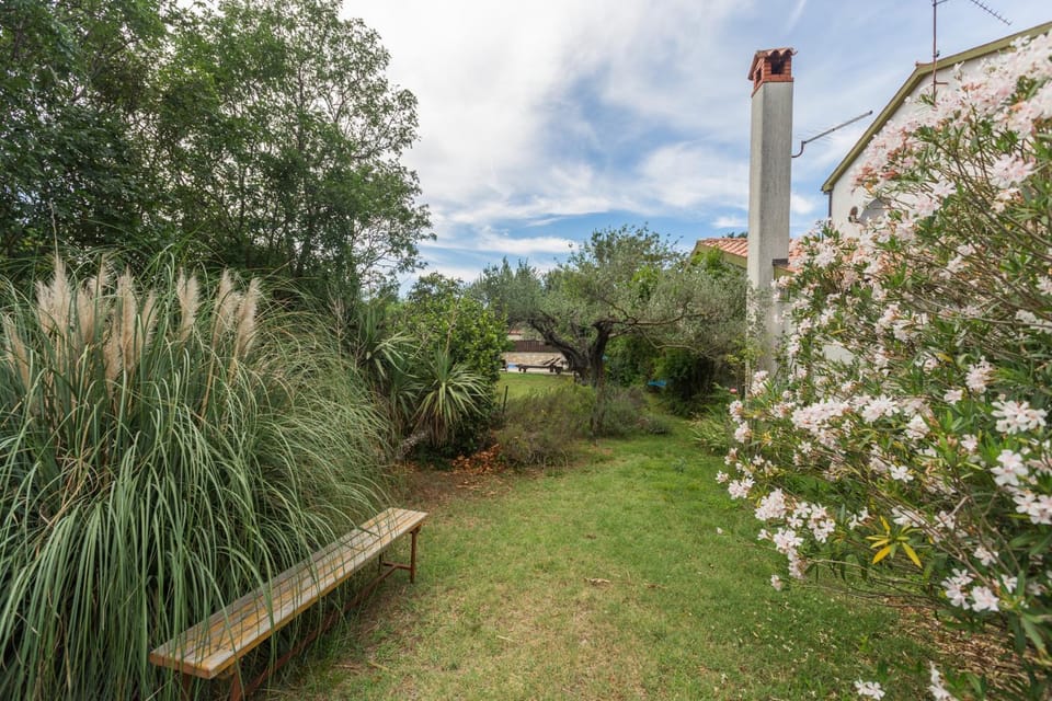 Vila Renata Villa in Pula
