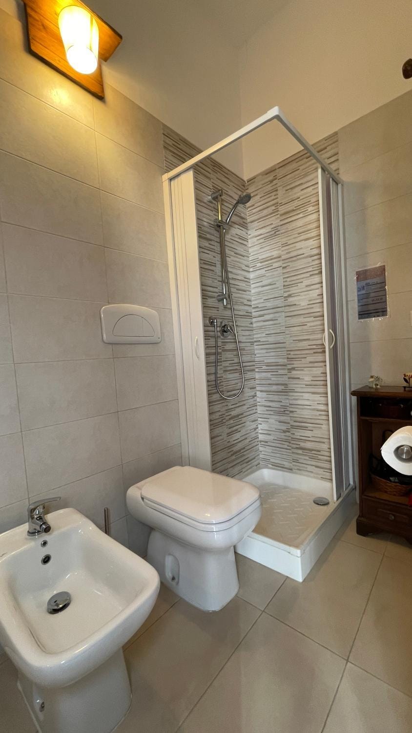 Shower, Toilet, Bathroom, bidet