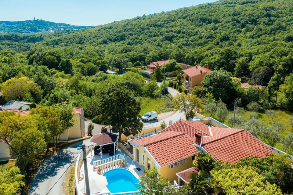 Bird's eye view, Garden