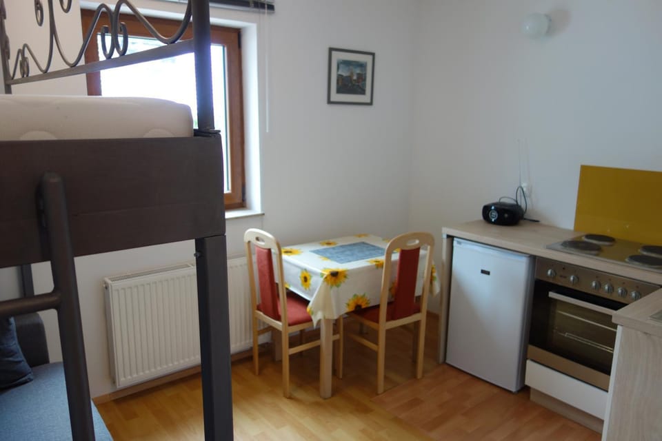 Kitchen or kitchenette, Dining area, stove