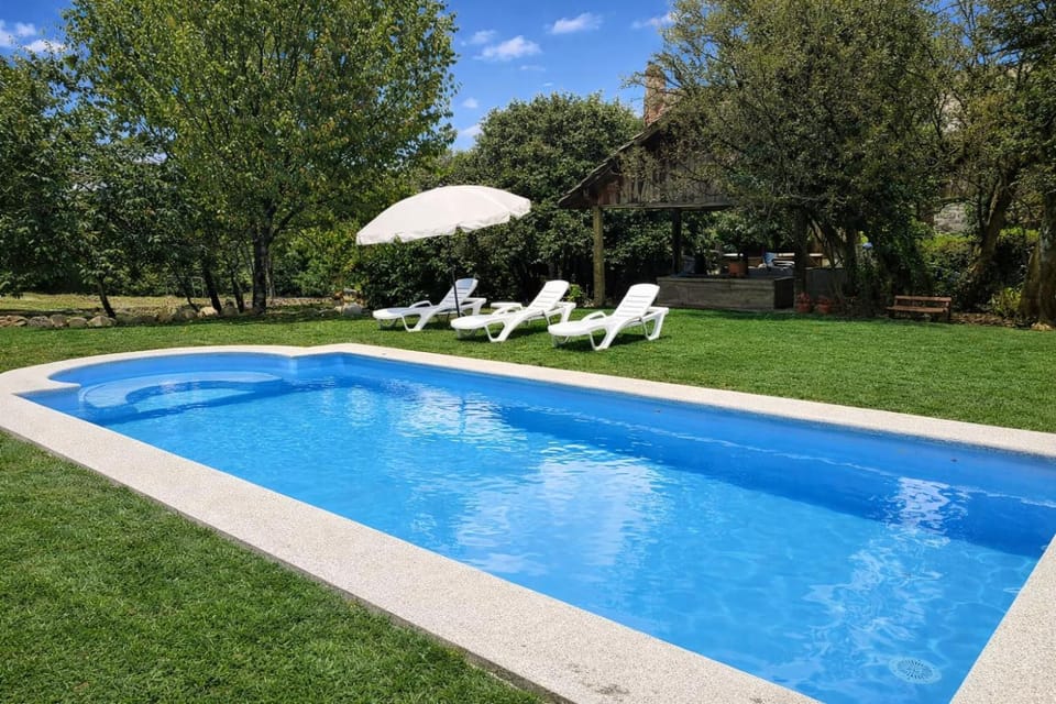 Garden, Swimming pool, sunbed
