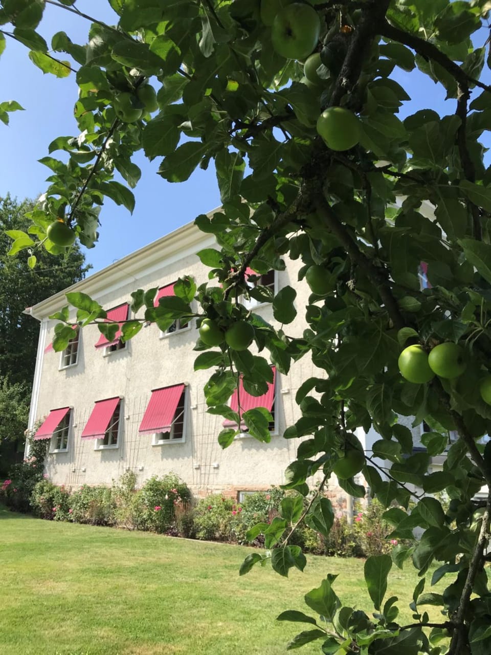 Vandrarhemmet Östergatan Hostel in Västra Götaland County