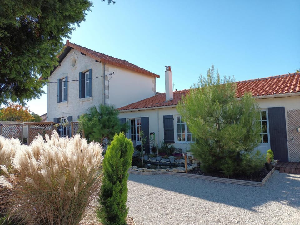 Property building, Garden view