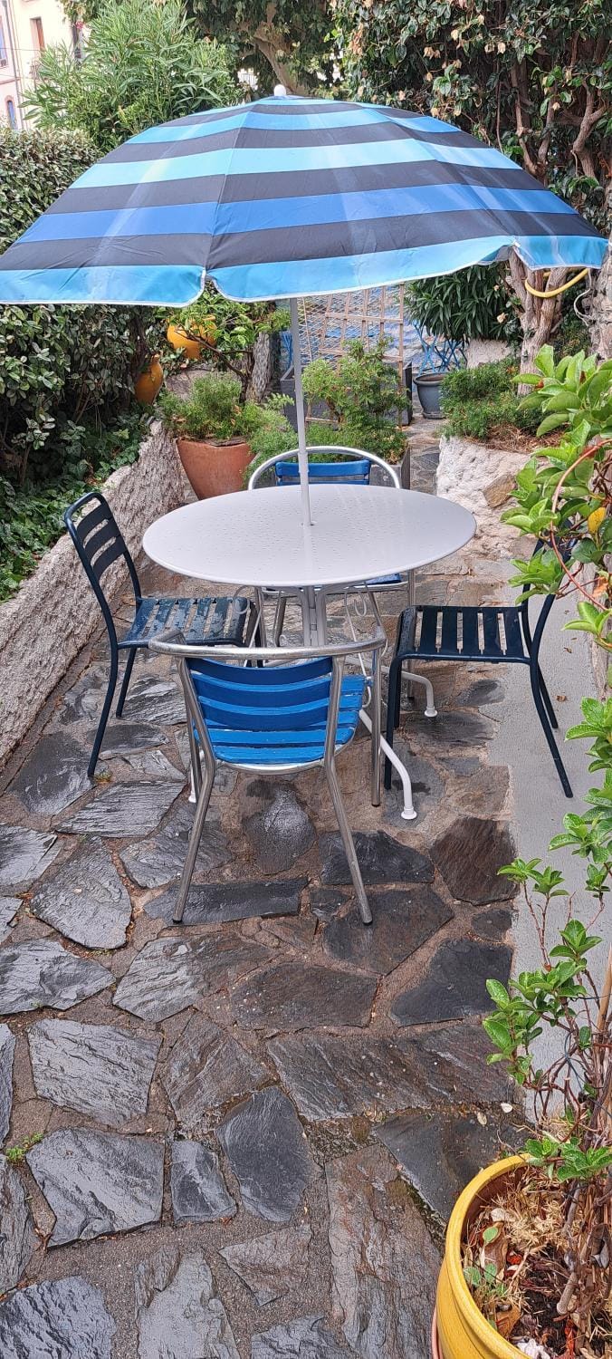 La grande bleue Apartment in Port-Vendres
