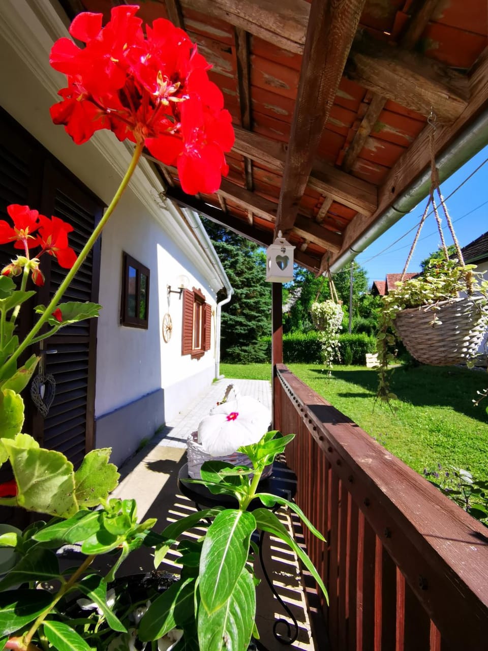 Garden view