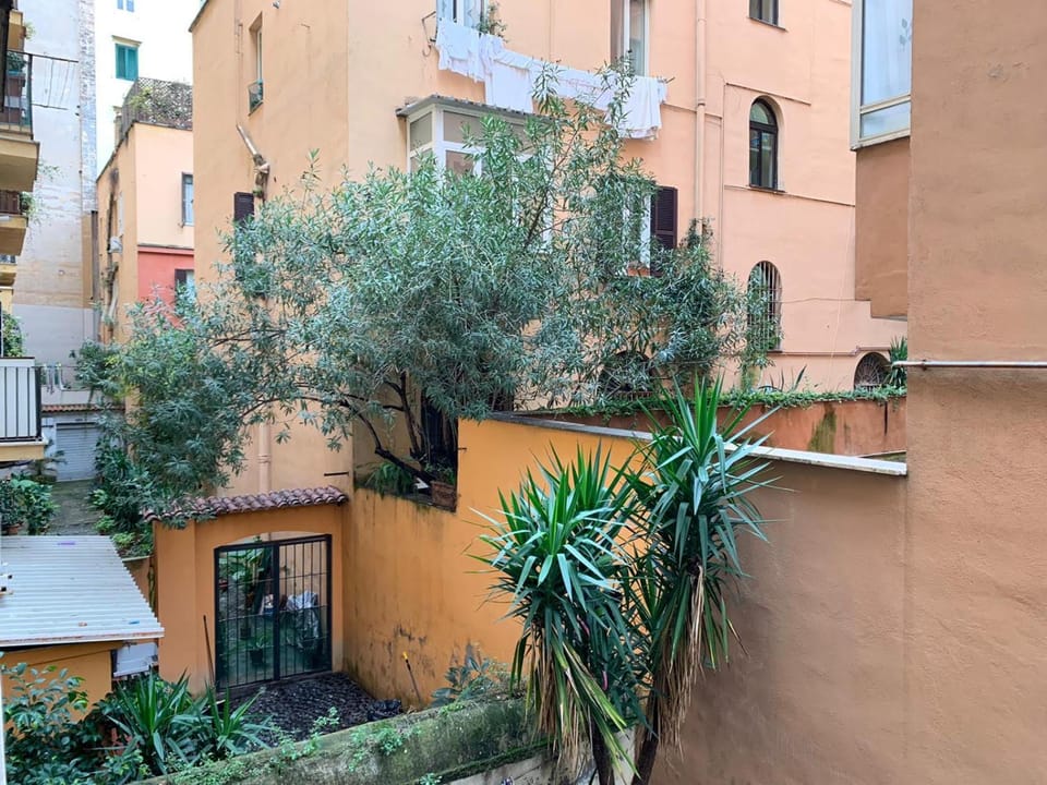 Inner courtyard view