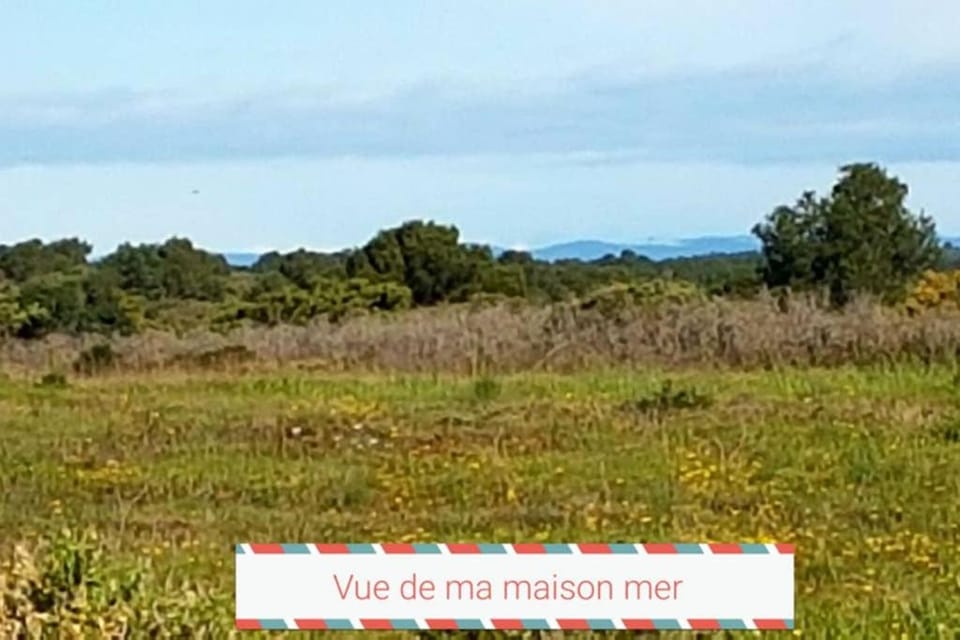 CROS Mer et Piscine House in Fleury